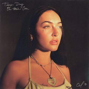 欧美日韩国产中文高清视频
