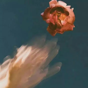 欧美日韩国产中文高清视频
