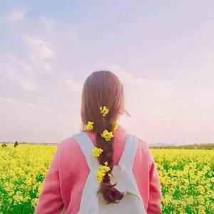 欧美日韩国产中文高清视频
