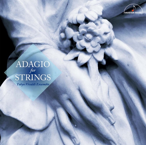 欧美日韩国产中文高清视频
